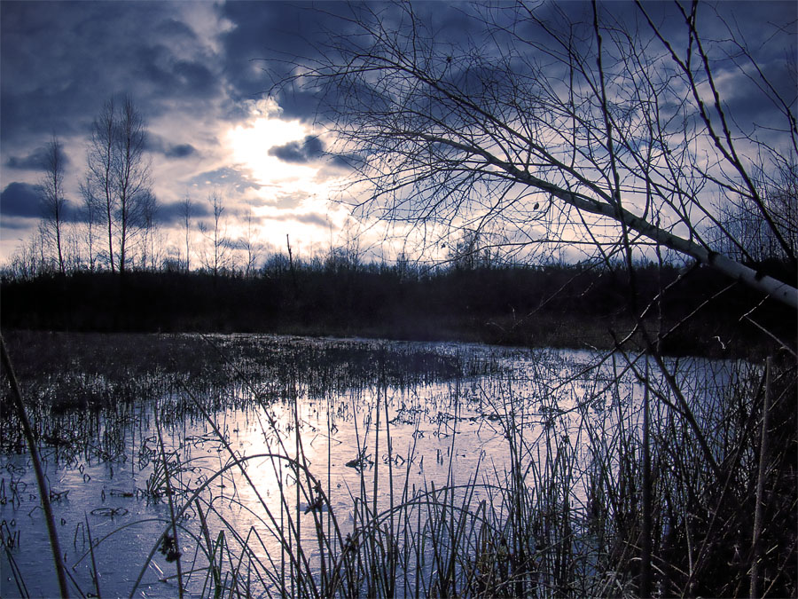 In the cold light of night...