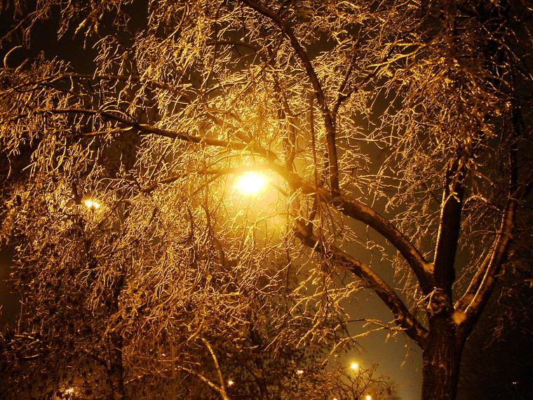 Brush Winterabend .....