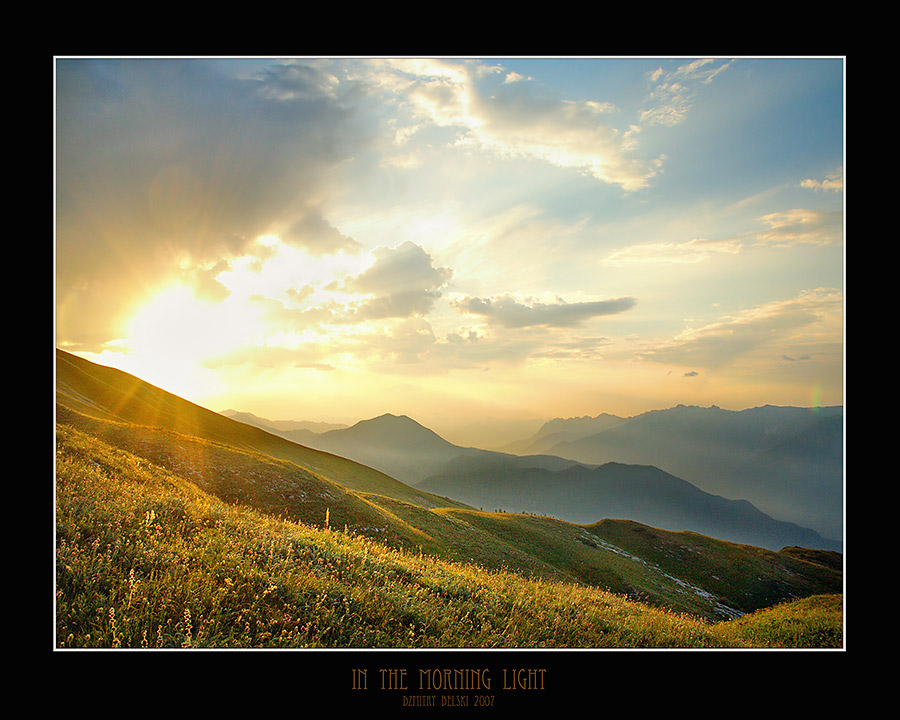 in the morning light