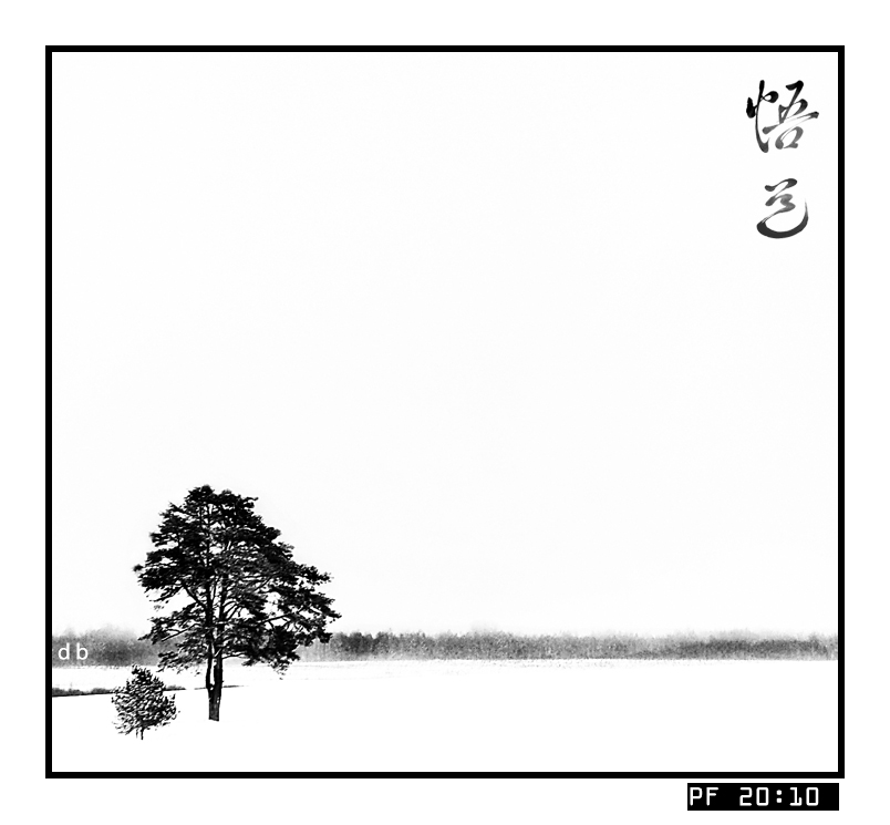 Harmony im Jahr 2010.