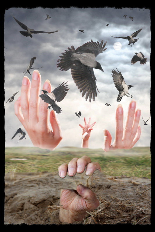 Black Wiese vyzzhennogo