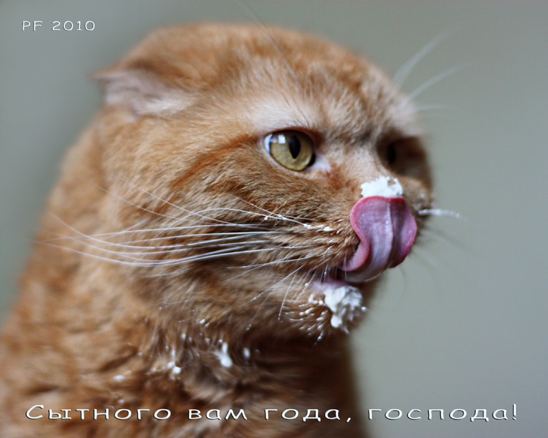 Pflegende Sie, der Herr!