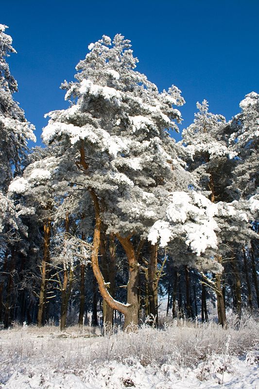 HAPPY HAPPY NEW YEAR!