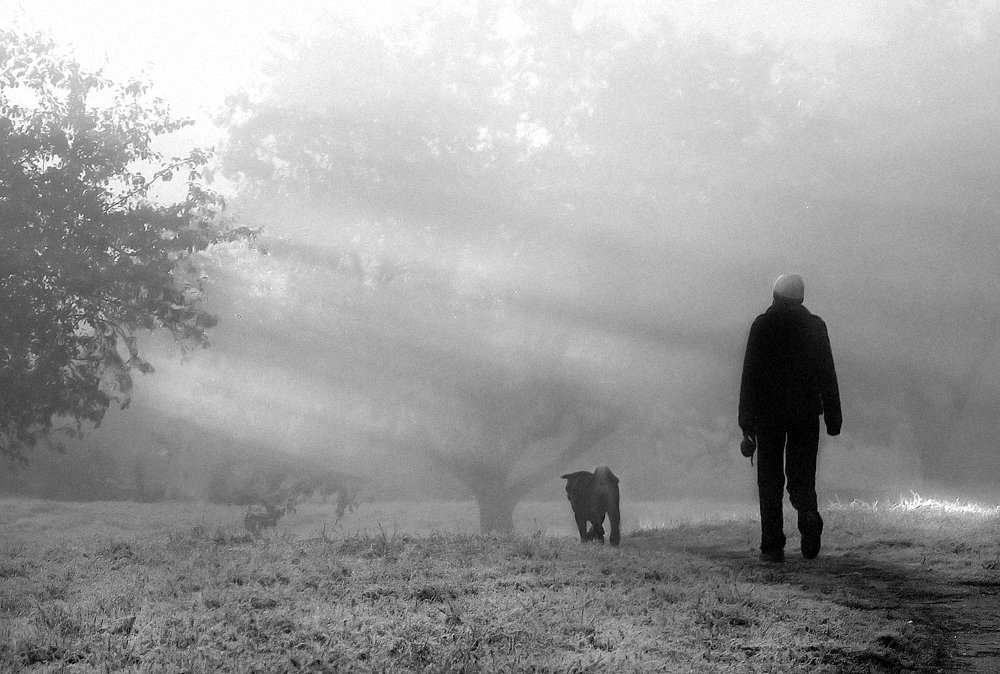 ungewöhnlichen Spaziergang