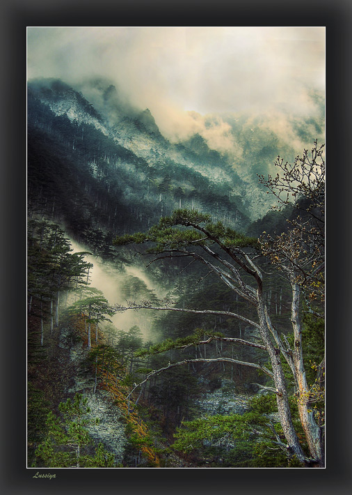 Zusammenführen von Elementen