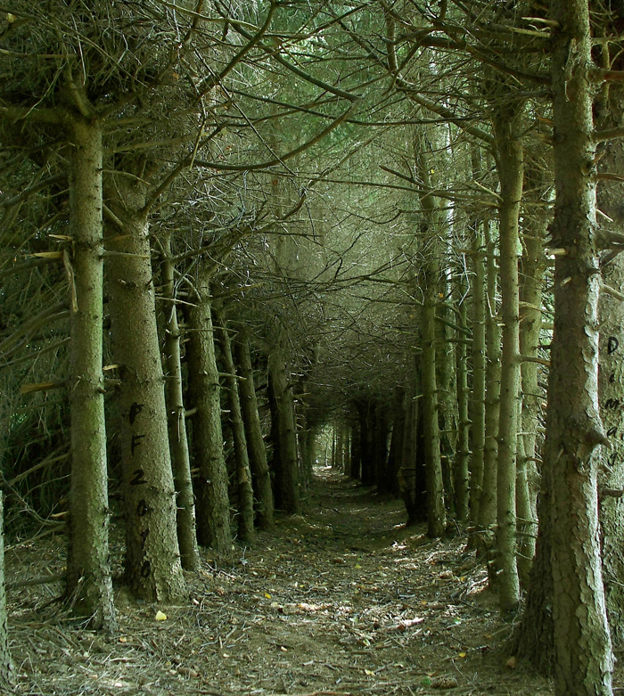 PF'2010 [aus der Krise]