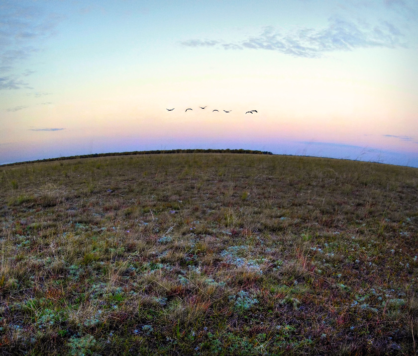 Leb wohl, Steppe ...