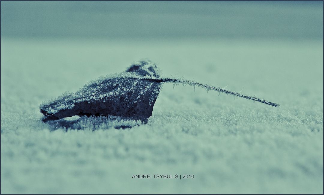 Herbst-Winter 2010 (Blick Großformat)