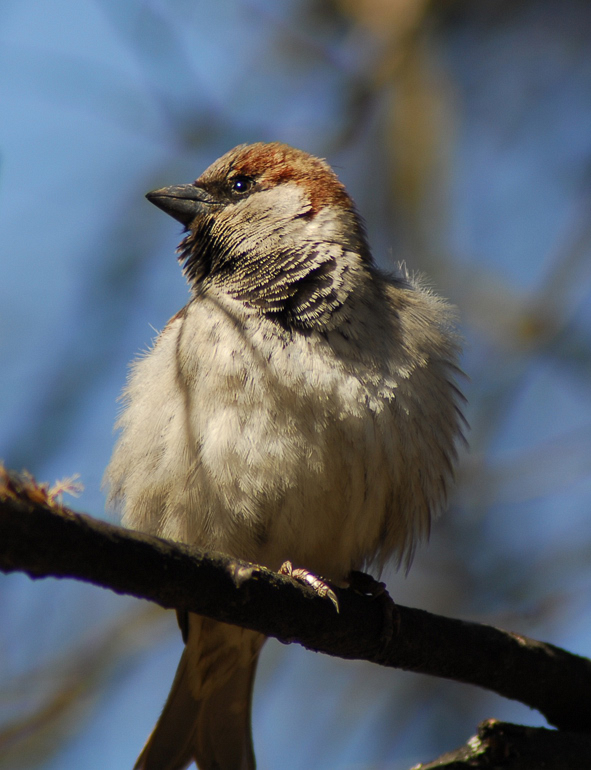 NAhoh .. Geregnet ...