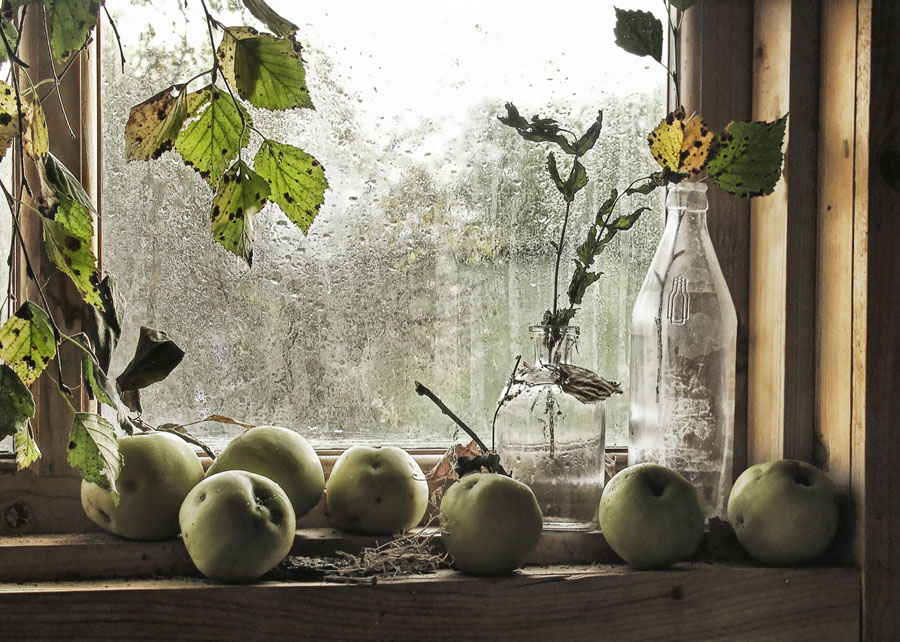 "... Auf dem Fenster im Badehaus (Antonowka):!)"