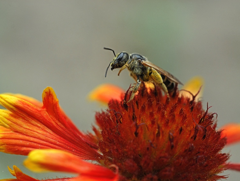 ... Erzielung der gewünschten ...