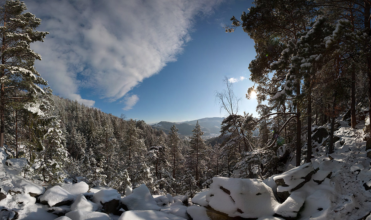 Frohes neues Jahr alt!