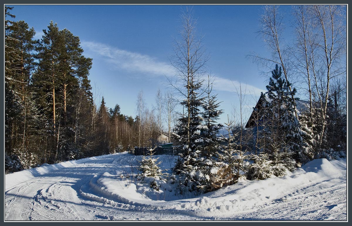 Ein Spaziergang in der Nähe des Waldes.