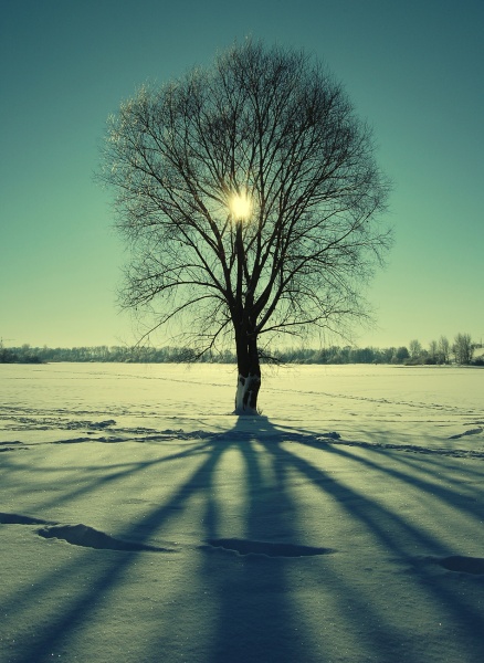 T-C-C .. und dann fliegen weg