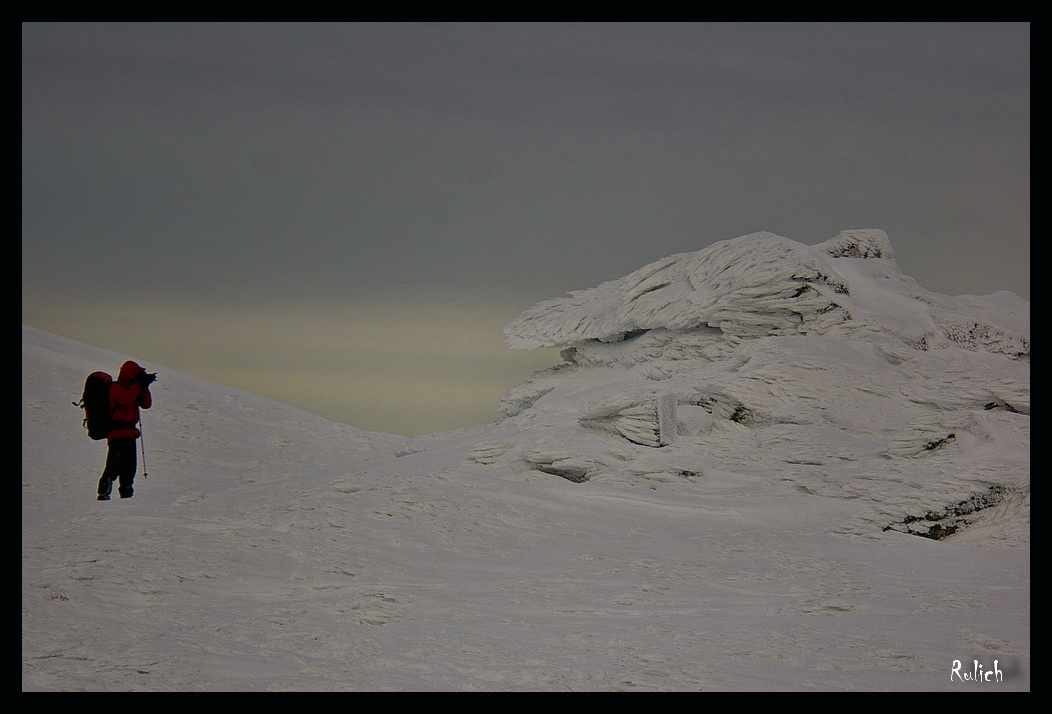 Letztes Bild sterbende Schwan