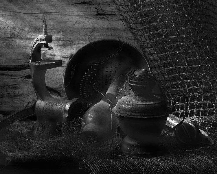 Bitterkeit des Exils