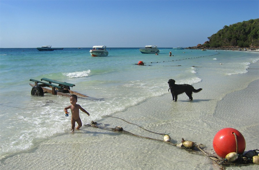 Ball Boy Dog und dem warmen Meer.