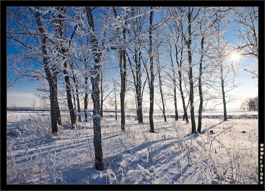Frost und Sonne - ein wunderschöner Tag!