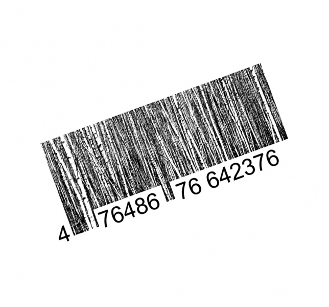 Birchcode (c)-ash