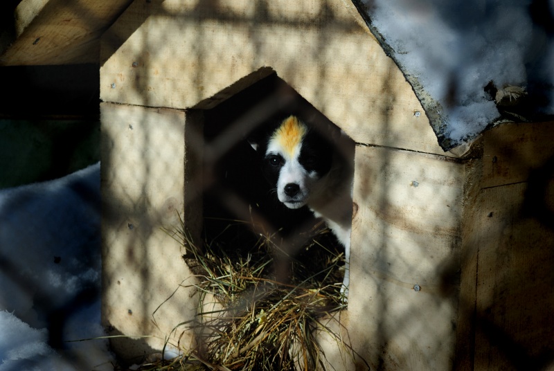 Ich bin nicht ein wenig