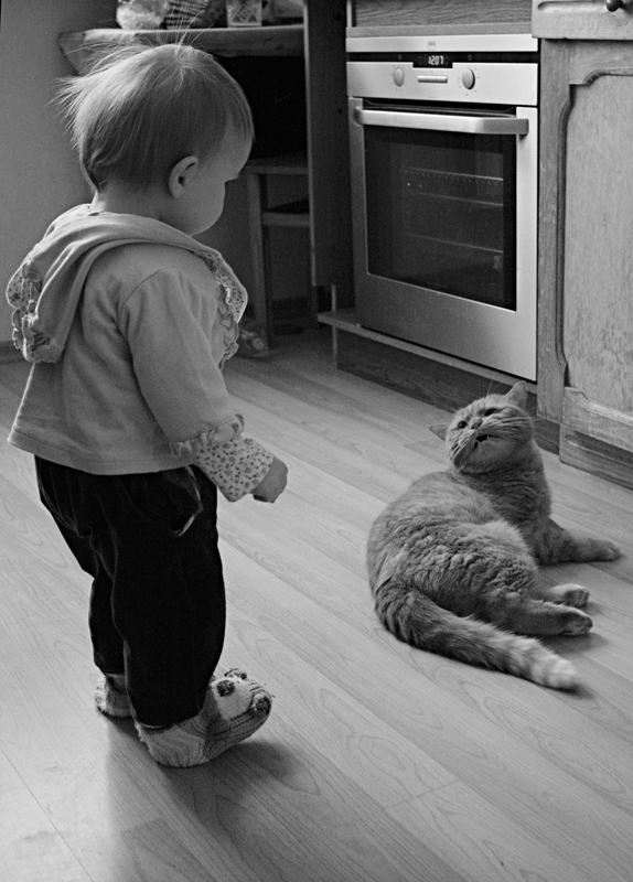 Ernsthafte Diskussion