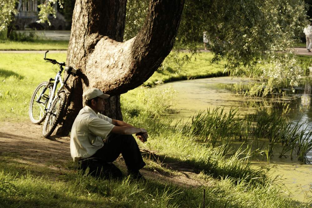 aber das Leben war Fliegen *