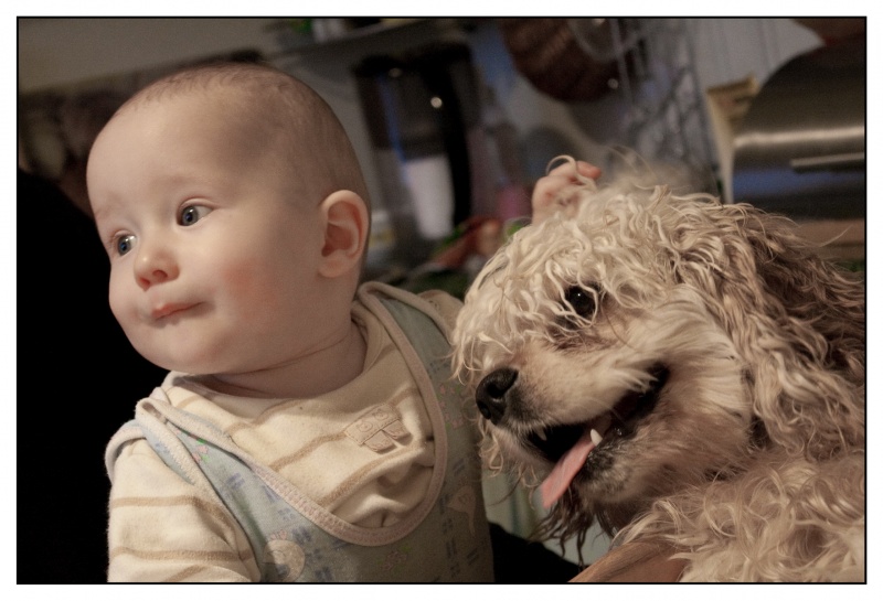 Ich Polkanoff Grenze