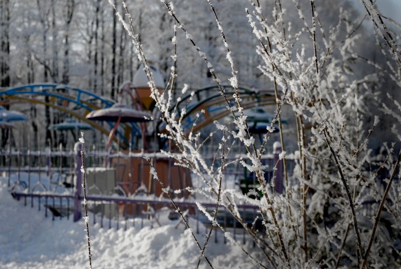 Passwort Karussell ...