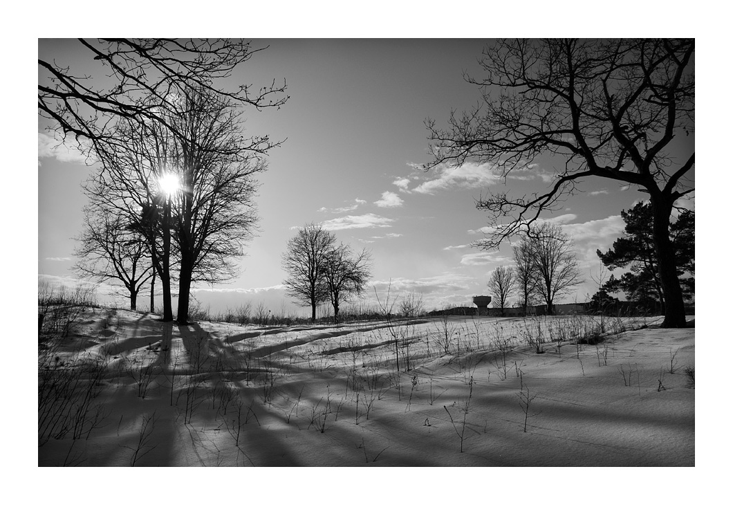 jemand sonnen ... jemand gezogen ...