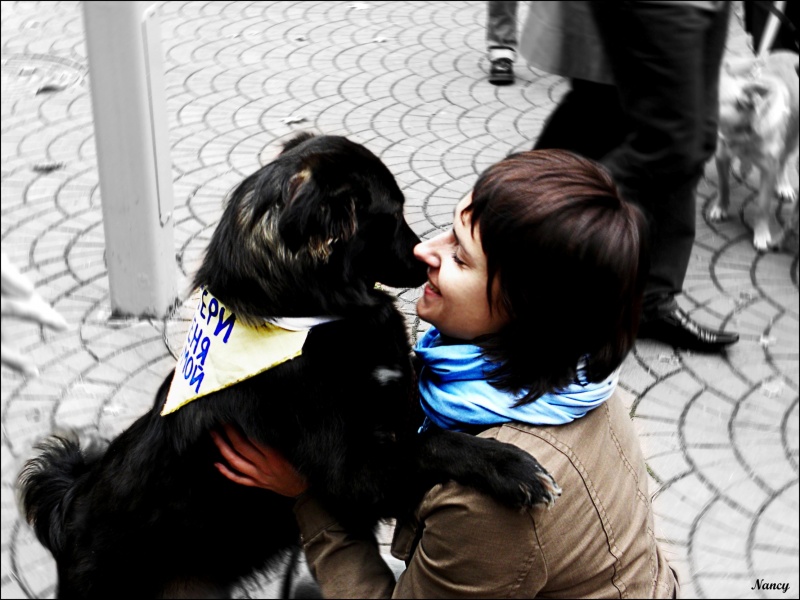 Bring mich nach Hause