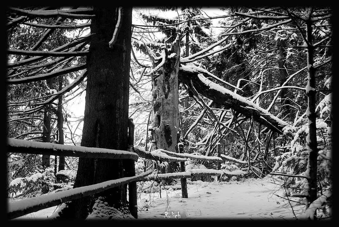 auf dem Weg zu einem Märchen