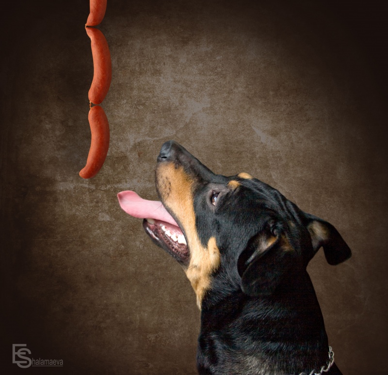 Und das alles für mich?