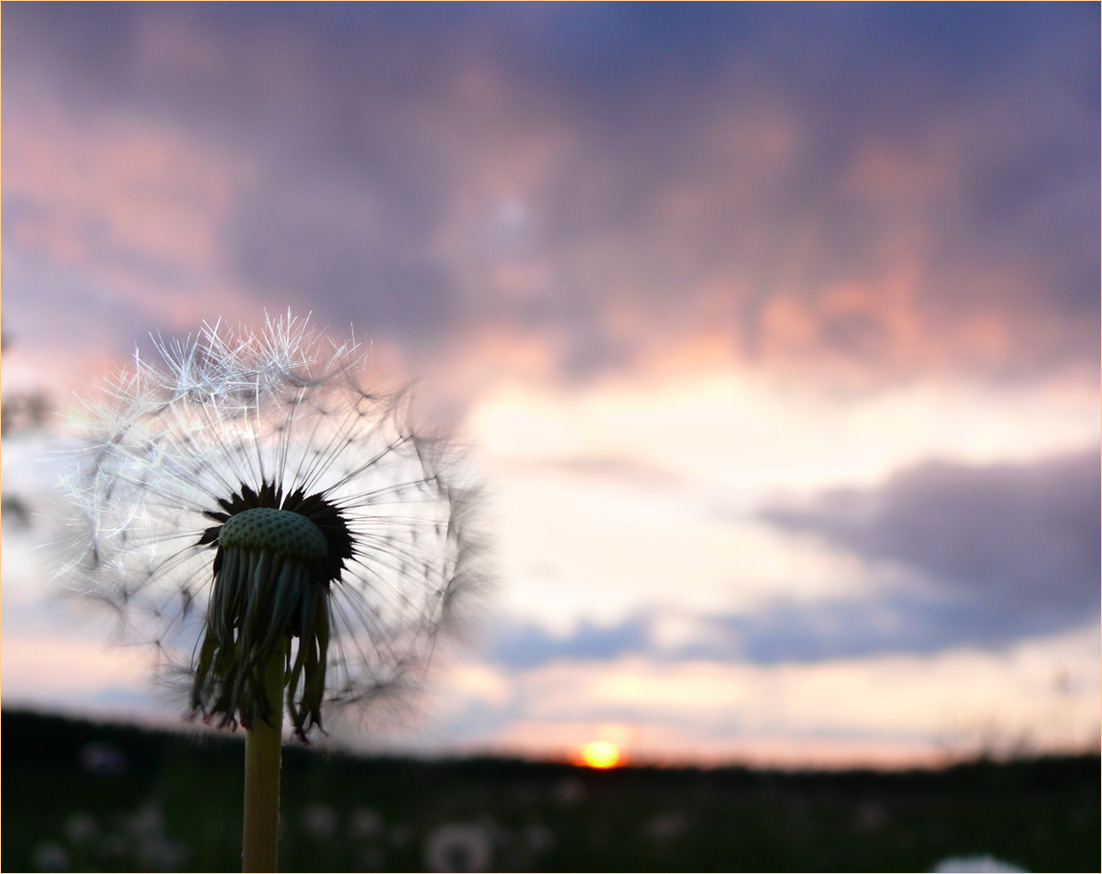 Sehen schlechten Tag ...