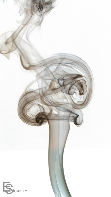 über Rosen und Hauptstädte