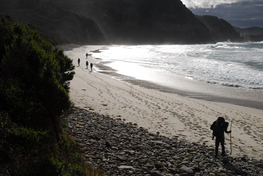 Tasmanian Bushvolkery