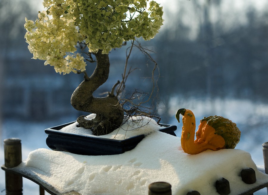 Und am Morgen im Garten entdeckt Spuren von ...