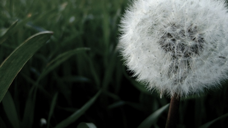 Weich und flauschig.