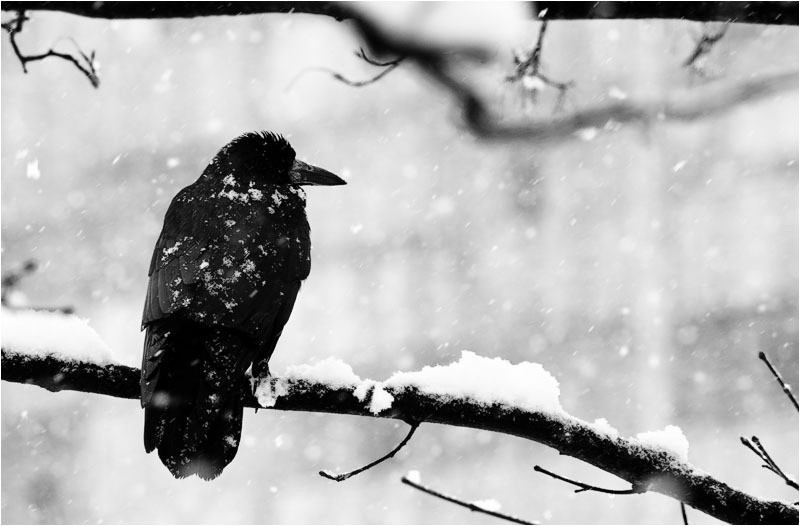 fiel im letzten Jahr Schnee