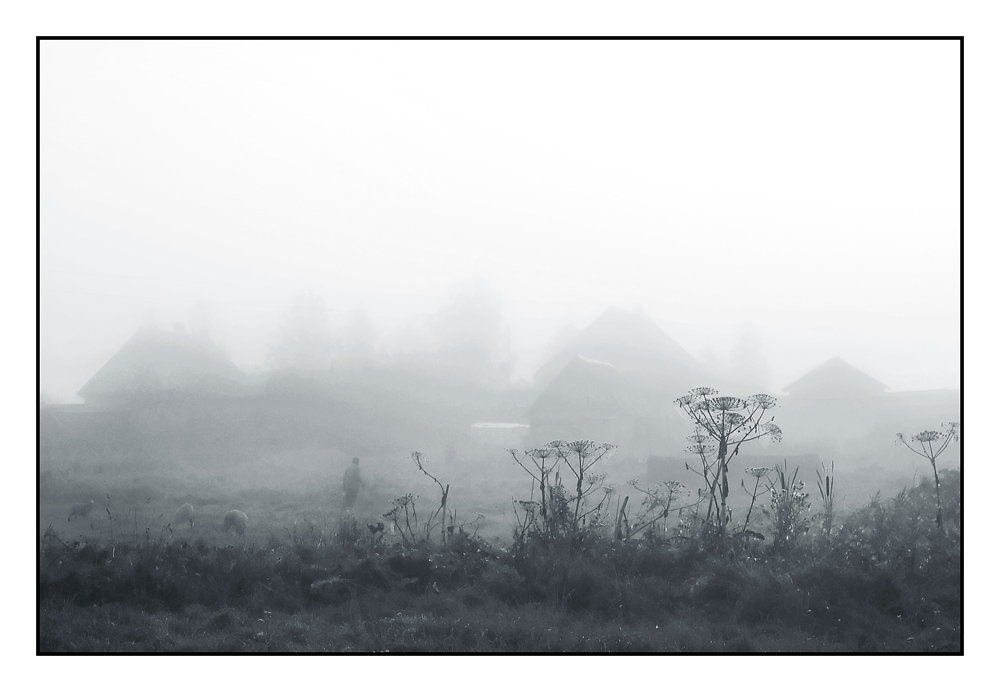 Von morgens bis grasen ....