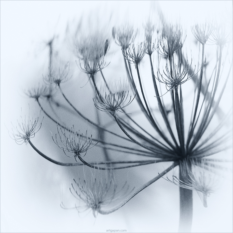 [ Martian Chronicles ]