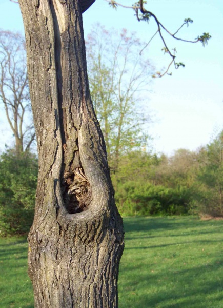 in seinen besten Jahren ...