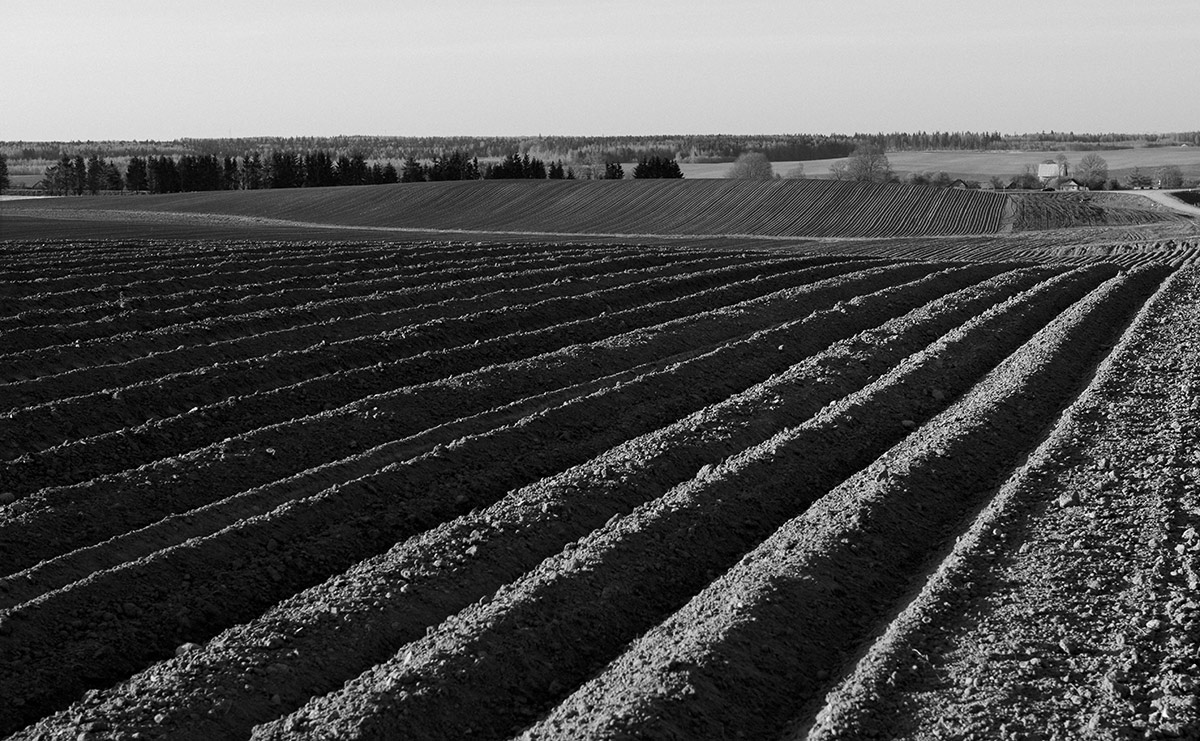 In einer nach vorn Ticker