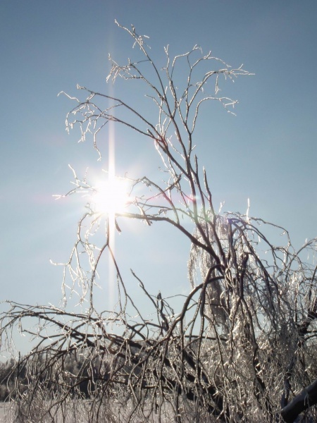 ... Morozkin Gefangene ...