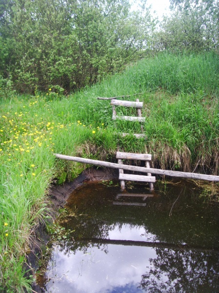 verlockend "Pfütze"