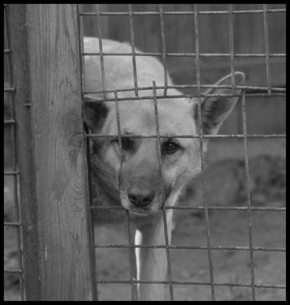 in einem verschlossenen