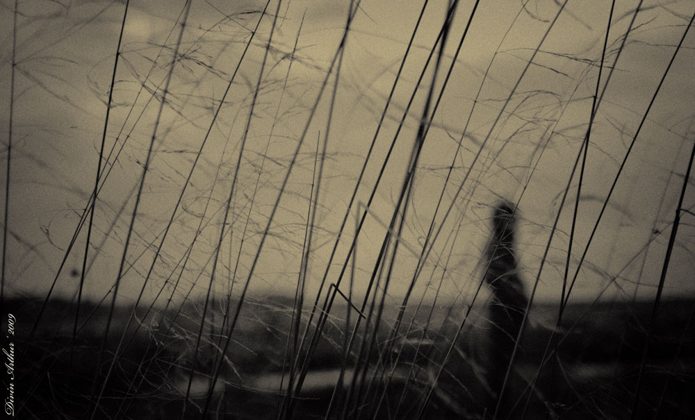 Silhouette .........