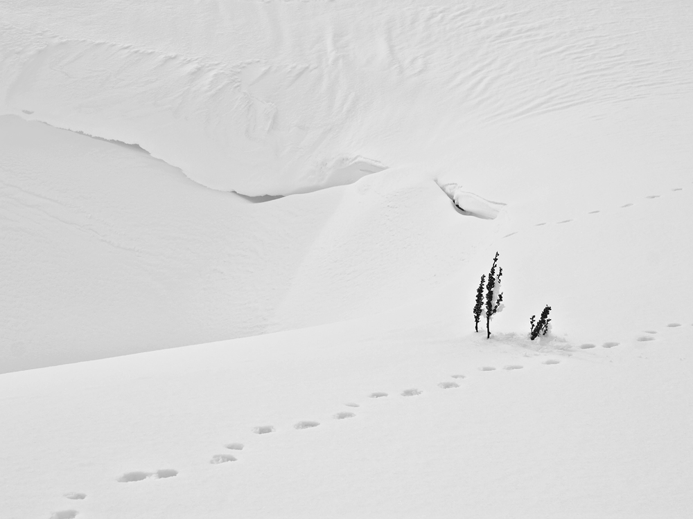 * M und H & M und L und R m *