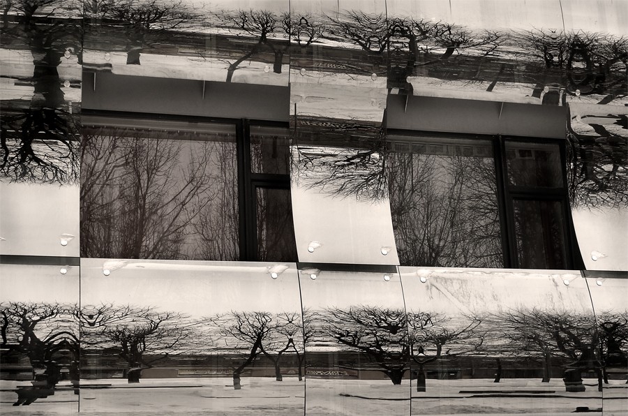 Das Leben der Bäume in der Welt von Windows ..