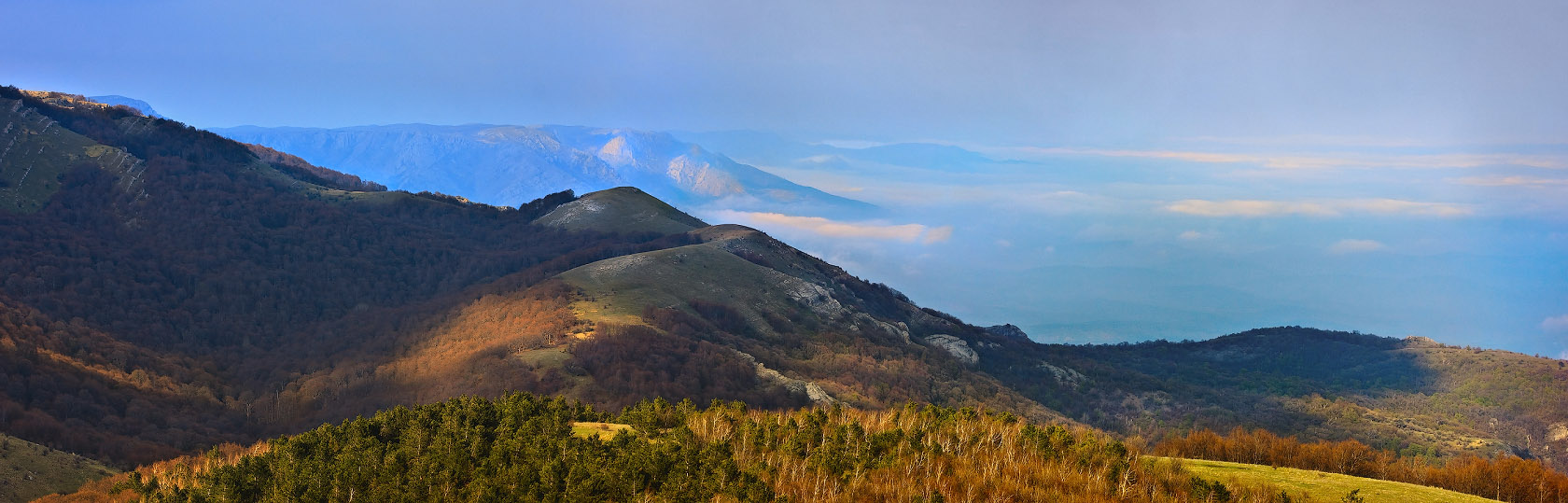 Über die Feder in der Krim