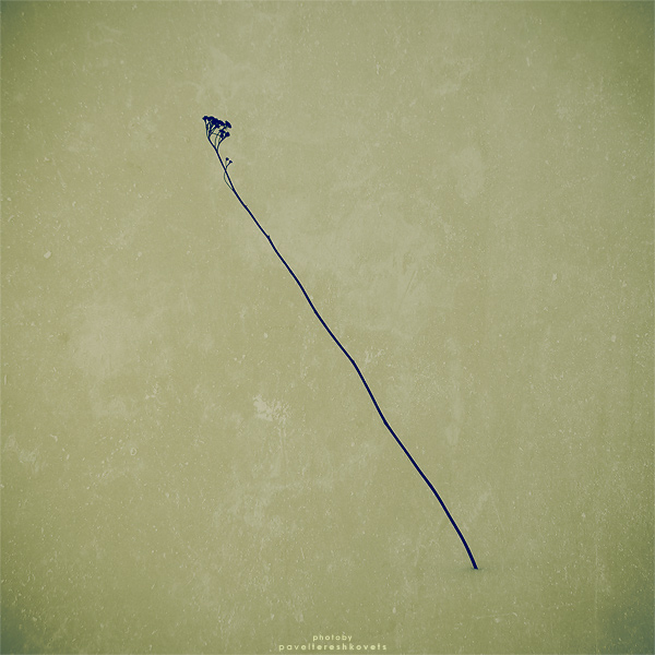 [Sag kein Wort. Brillanter Klang}